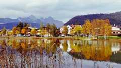 IMG-20191104-WA0006