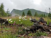 IMG-20191104-WA0007