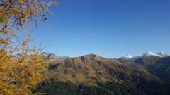 IMG-20191104-WA0010