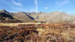 IMG-20191104-WA0012