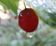 IMG-20191104-WA0013