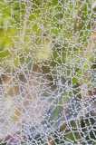 IMG-20191104-WA0014