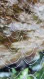 IMG-20191104-WA0015