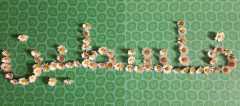 IMG-20191104-WA0018