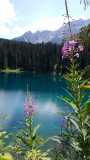 IMG-20191104-WA0019